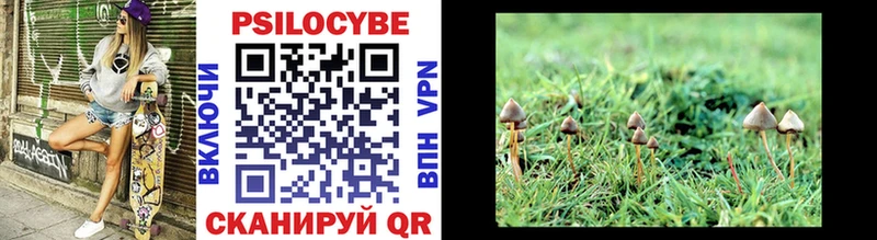 даркнет сайт Ялта Псилоцибиновые грибы MAGIC MUSHROOMS